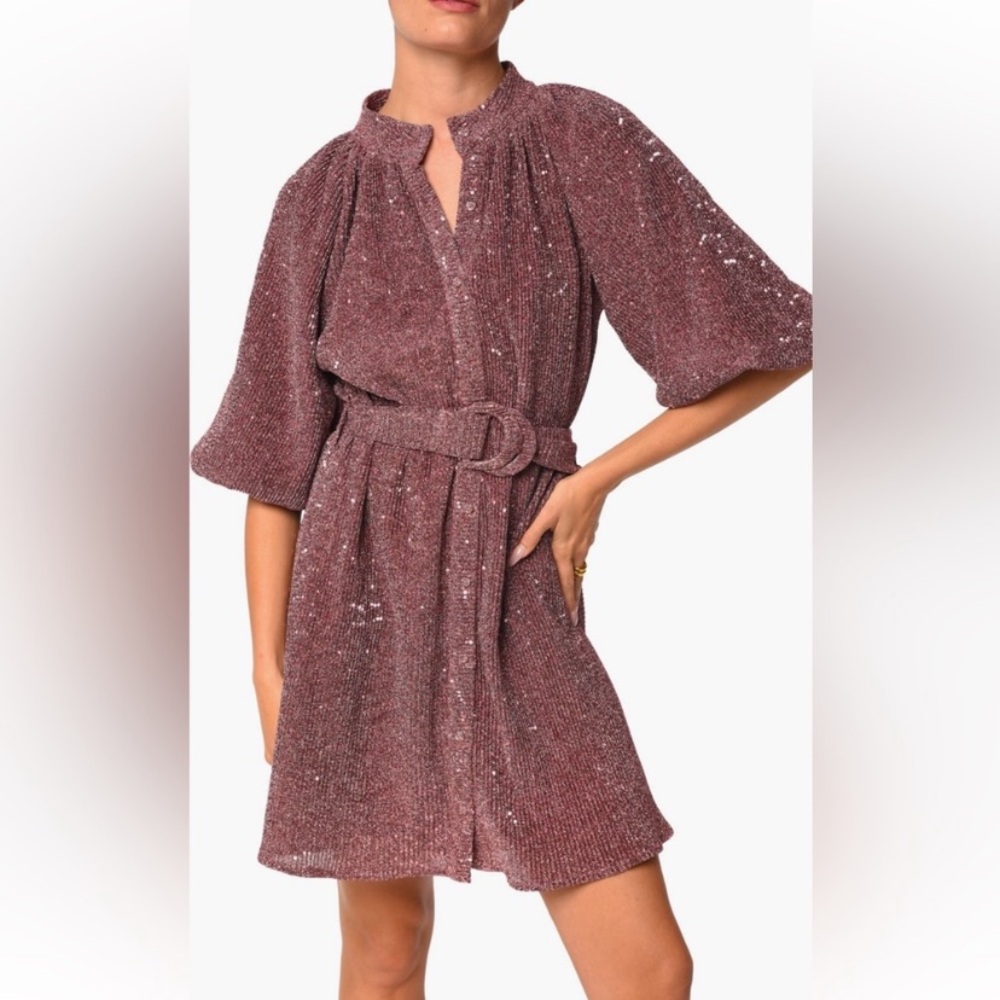 CIEBON Aniston Metallic Pleated Pink Sequin Dress